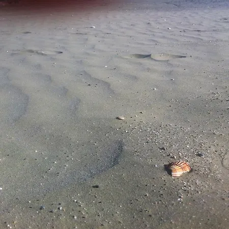 Sandy Beach 6 Daire